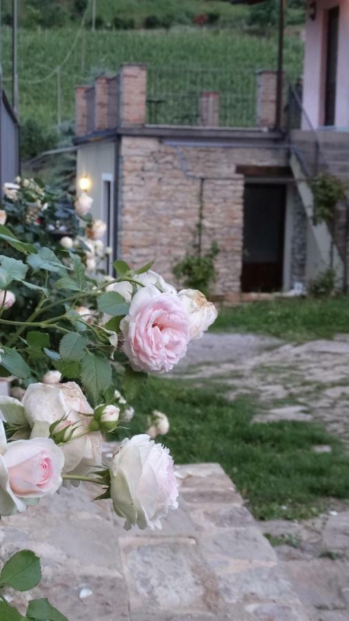 Corte Di Langa Cossano Belbo エクステリア 写真